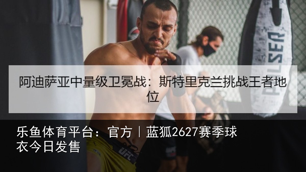 乐鱼体育平台：官方相关情况发售