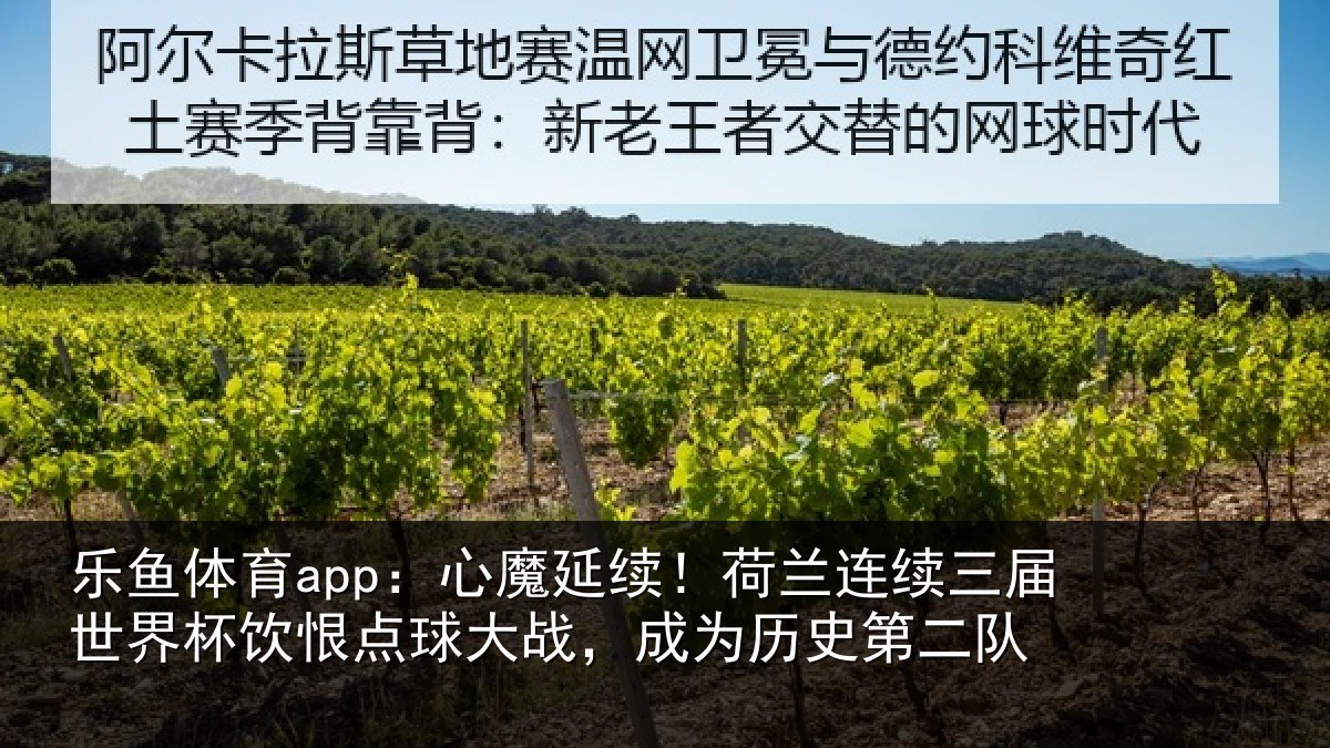 乐鱼体育app：心魔延续！荷兰连续三届世界杯饮恨点球大战，成为历史第二队