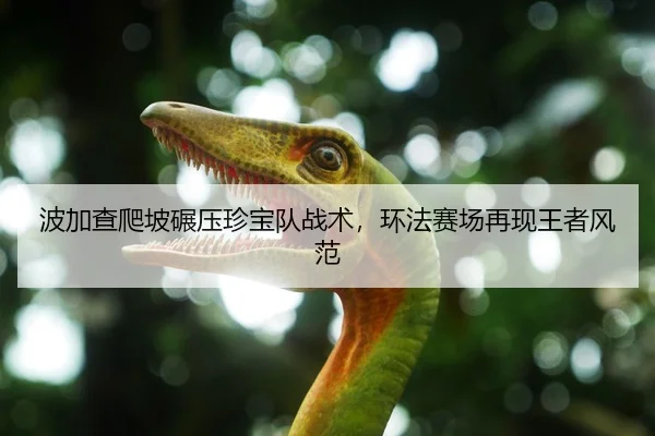 波加查爬坡碾压珍宝队战术，环法赛场再现王者风范