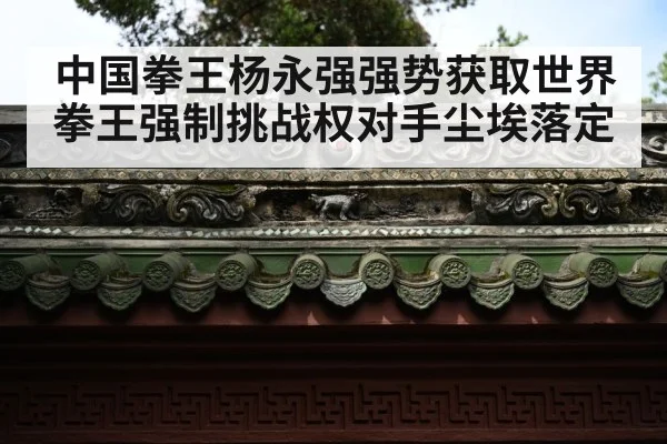 中国拳王杨永强强势获取世界拳王强制挑战权对手尘埃落定