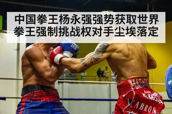boxing champion fight in ring