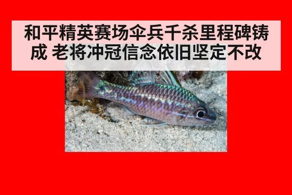 和平精英赛场伞兵千杀里程碑铸成 老将冲冠信念依旧坚定不改